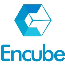 Encube logo